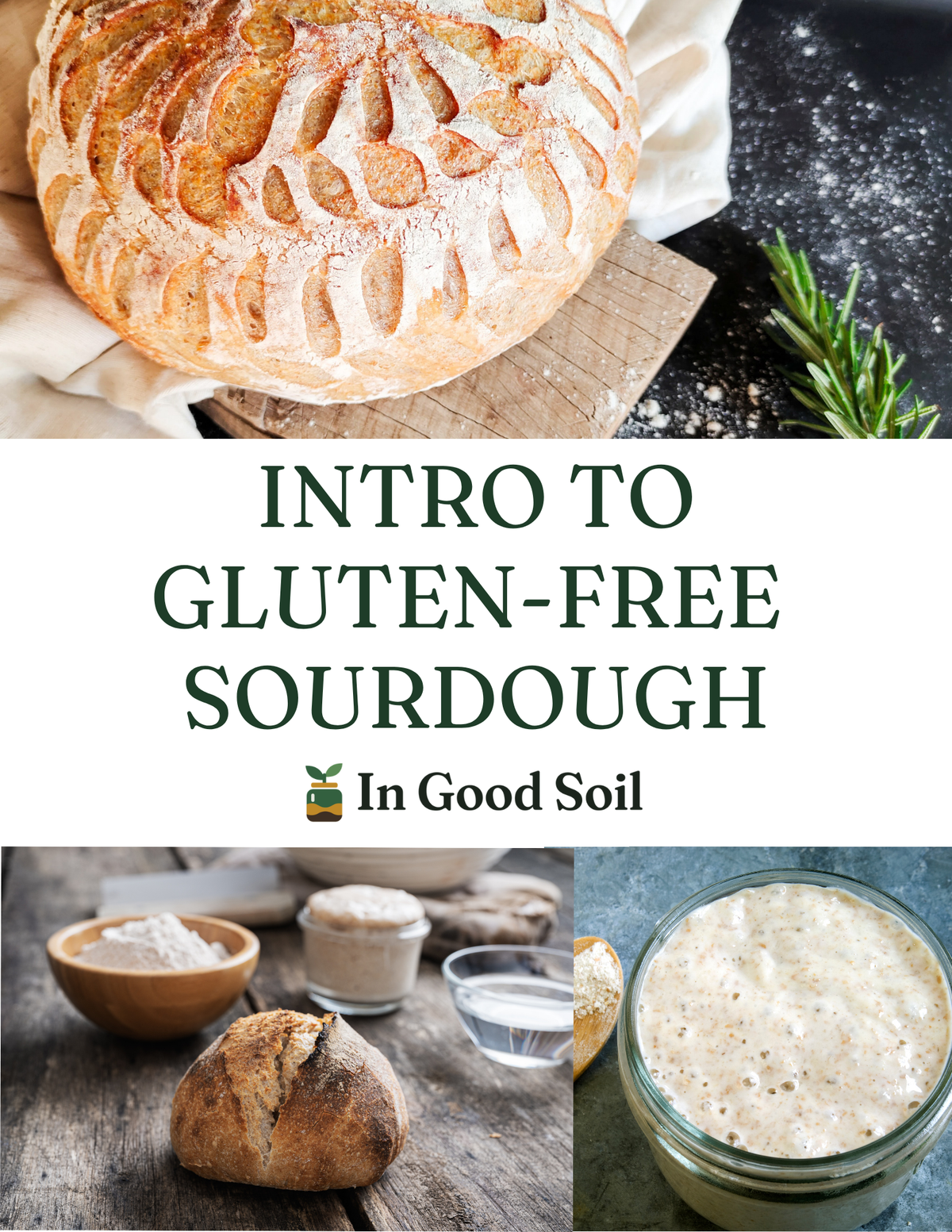 Intro to Gluten-Free Sourdough