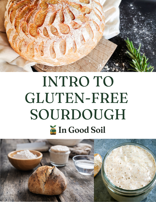 Intro to Gluten-Free Sourdough