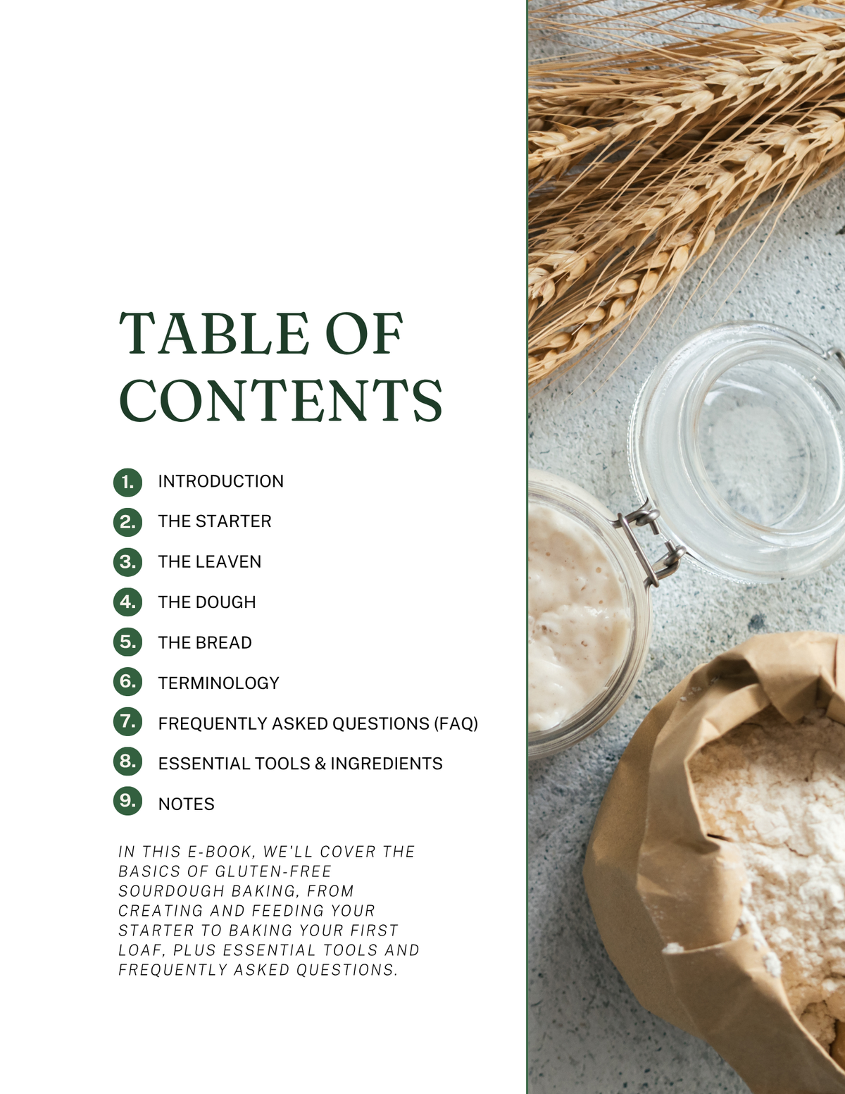 Intro to Gluten-Free Sourdough