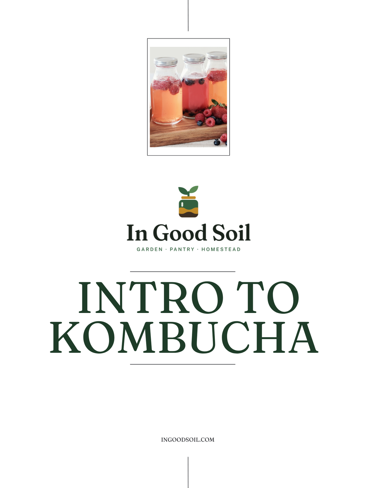 Intro to Kombucha