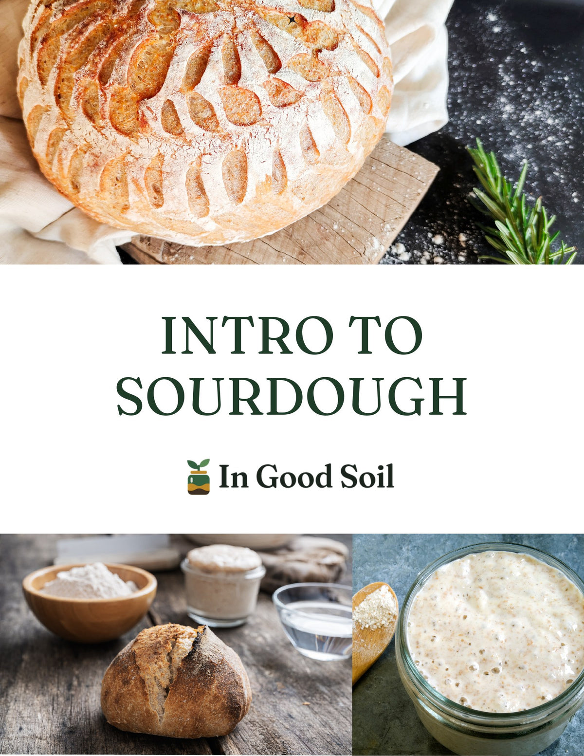 Intro to Sourdough