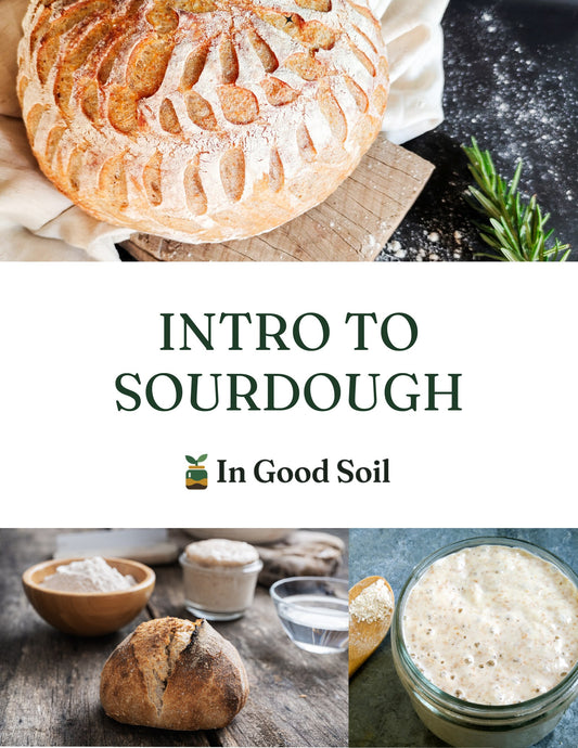 Intro to Sourdough