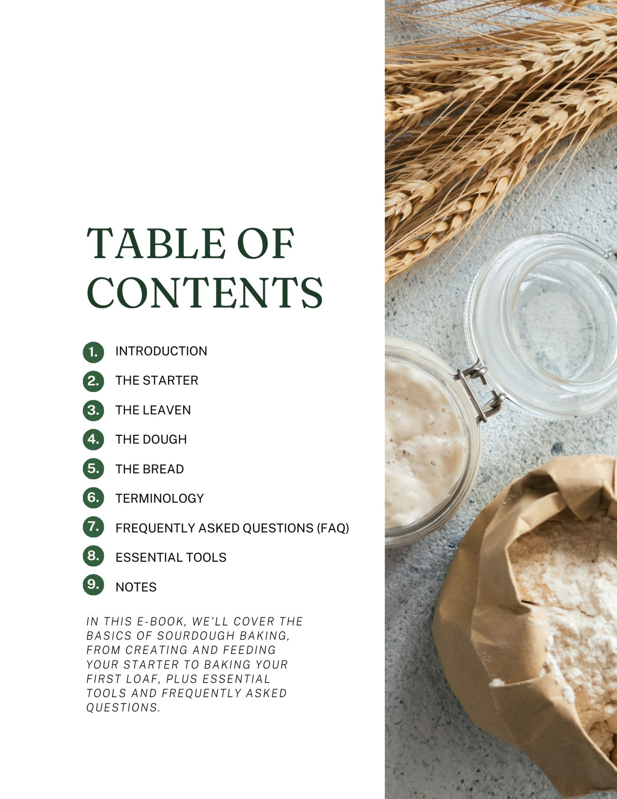 Intro to Sourdough